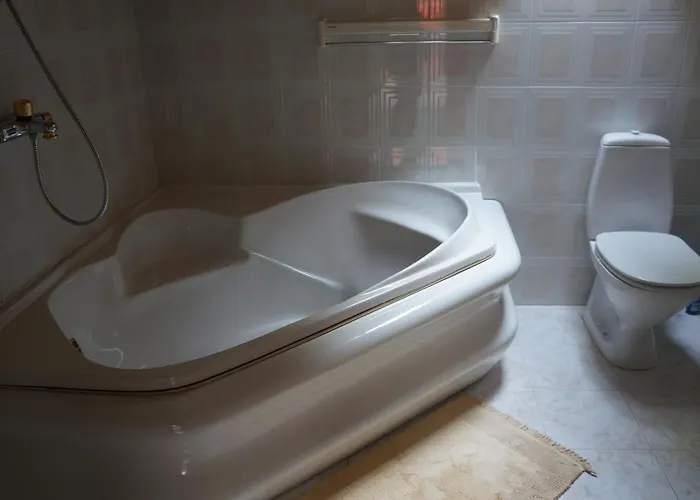 Гостевой дом Du Broliai 3*