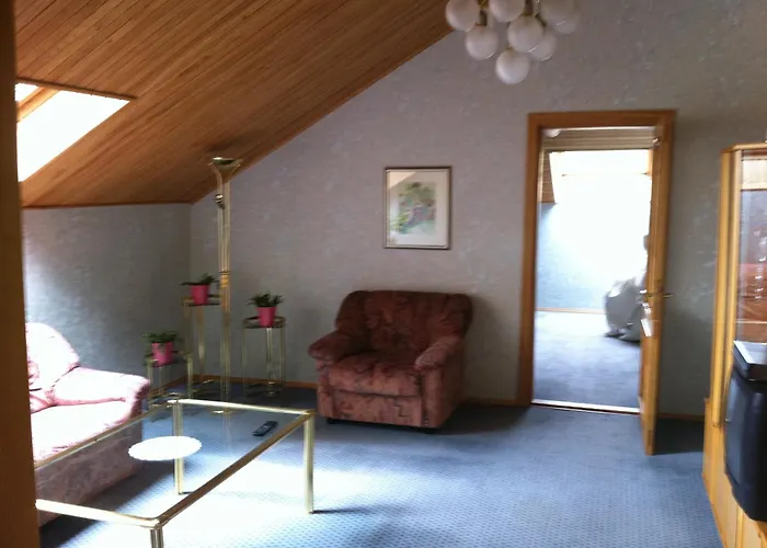 Du Broliai Гостевой дом Паланга