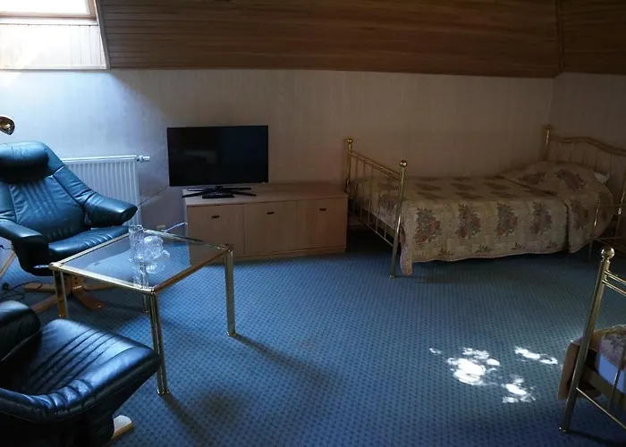 Гостевой дом Du Broliai 3*